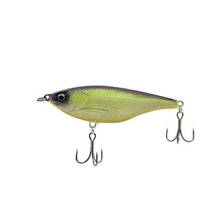 Chasebaits Drunken Mullet 90 37  Gold Shiner DM90-04